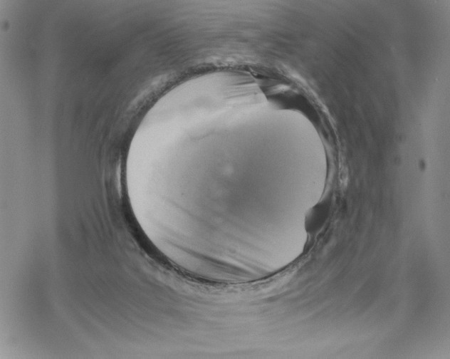 X0000069410019200606021733