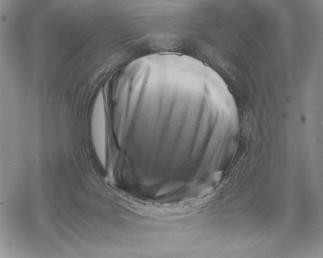 X0000069410027200606021733