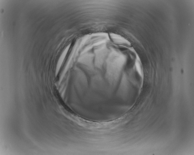 X0000069410035200606021733