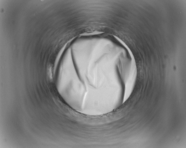 X0000069410042200606021732