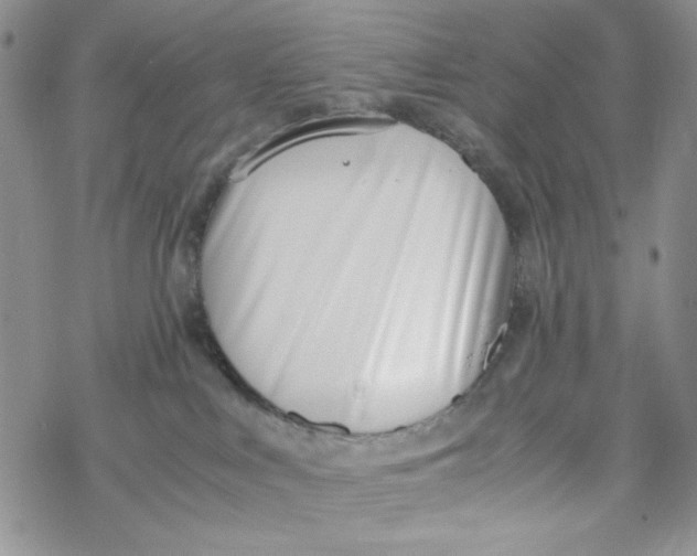 X0000069410043200606021732