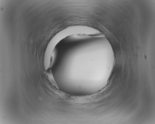 X0000069410045200606021732