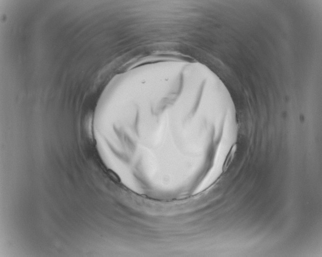 X0000069410047200606021732