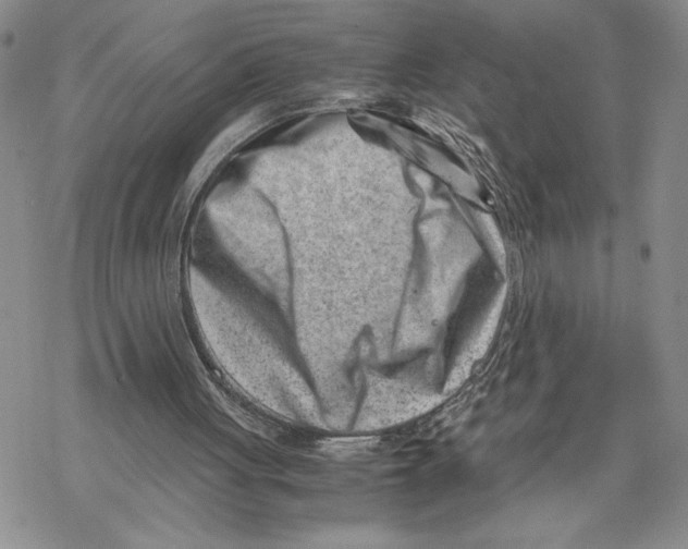X0000069410051200606021732