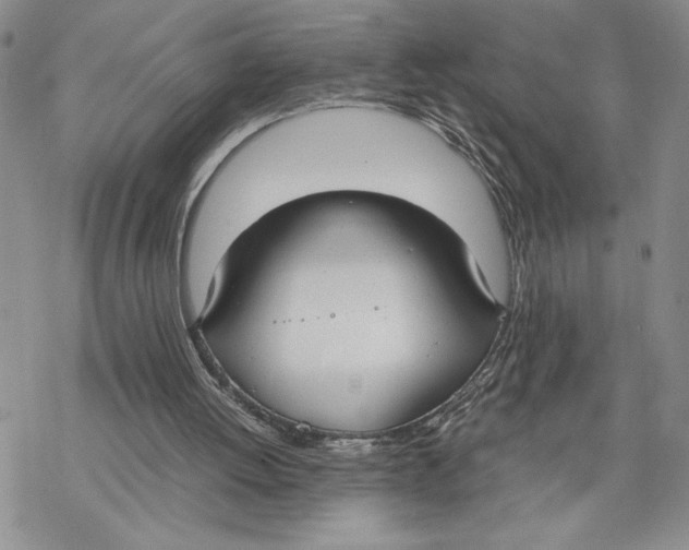 X0000069410052200606021732
