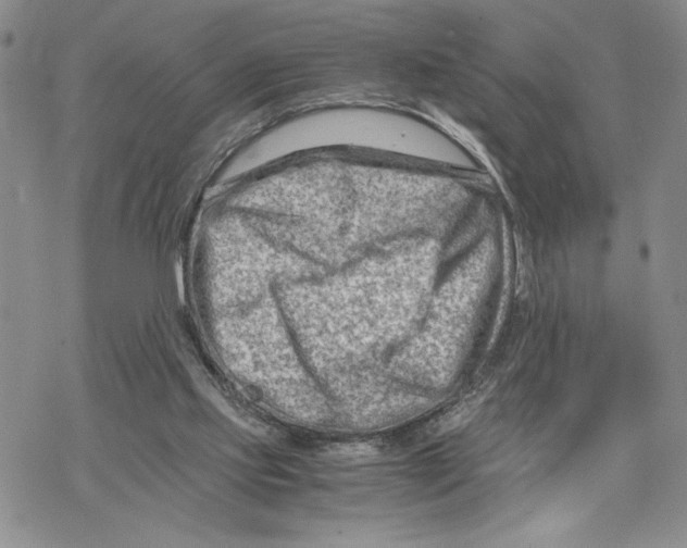X0000069410061200606021732