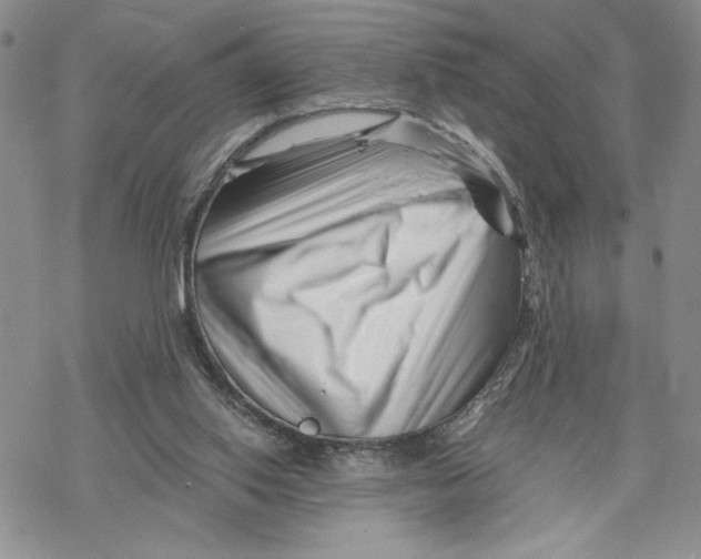 X0000069410062200606021732