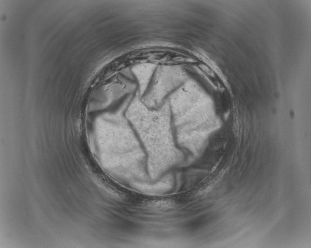 X0000069410063200606021732