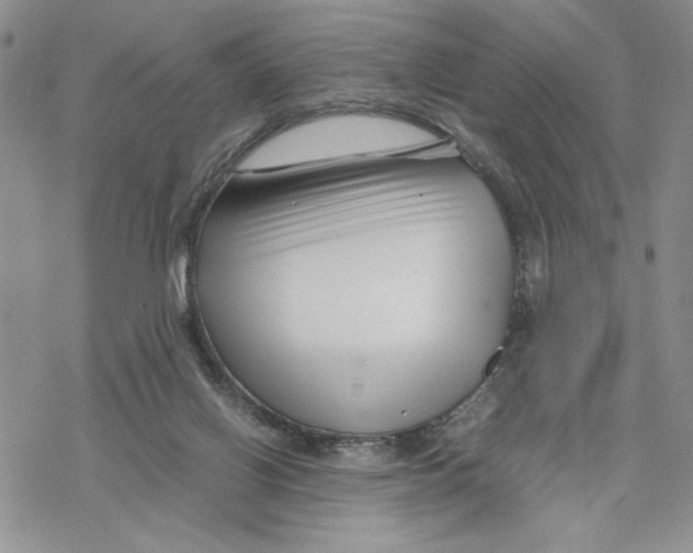 X0000069410070200606021732