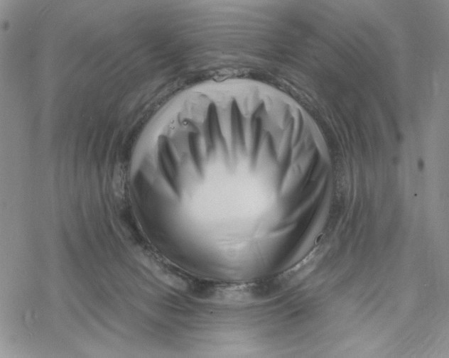 X0000069410078200606021732