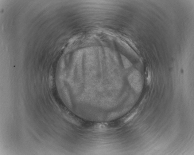 X0000069410080200606021732