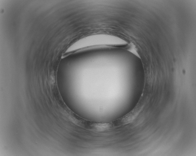 X0000069410085200606021732