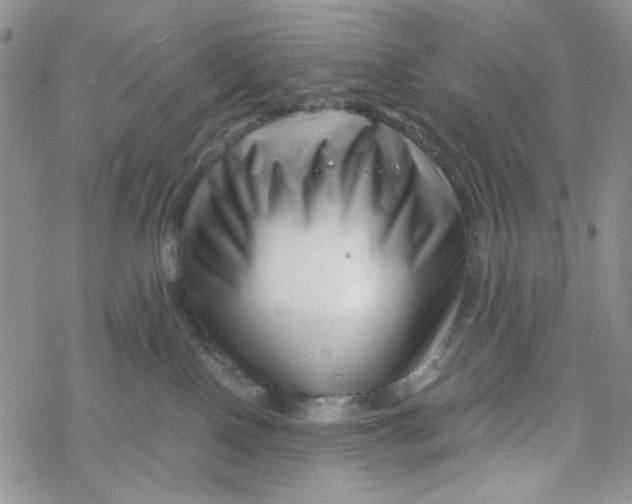 X0000069410090200606021732