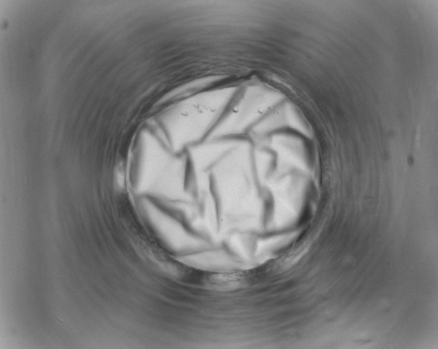 X0000069410095200606021732