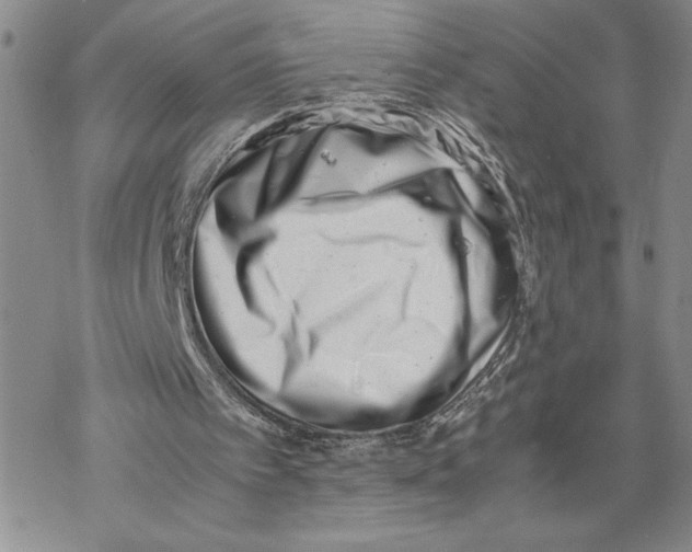 X0000069410097200606021732