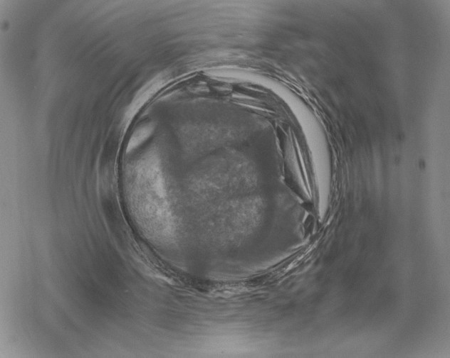 X0000069410099200606021732