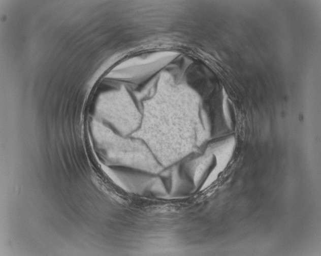 X0000069410100200606021732