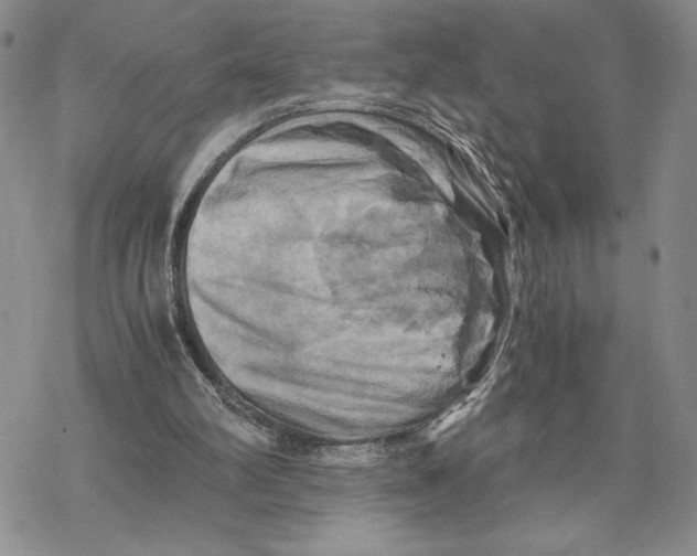 X0000069410102200606021732