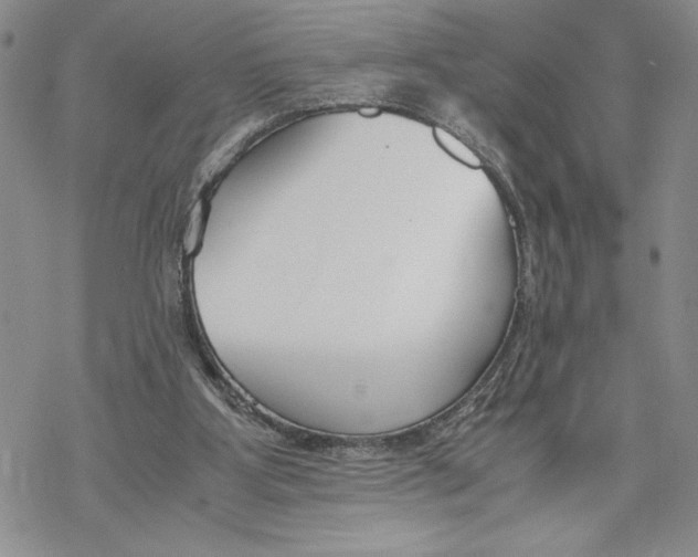X0000069410107200606021731
