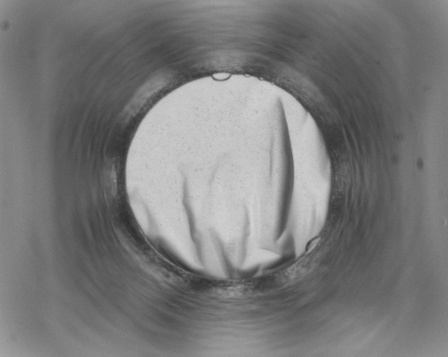 X0000069410120200606021731