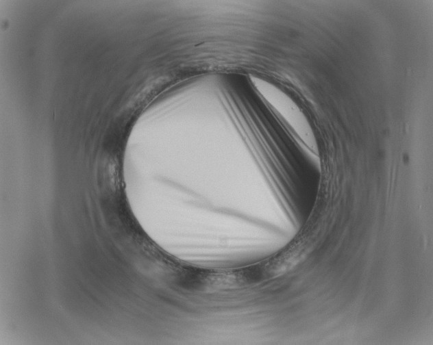 X0000069410123200606021731