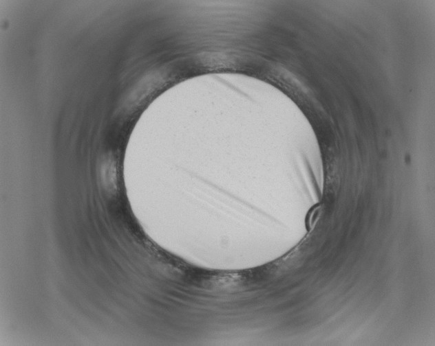 X0000069410124200606021731