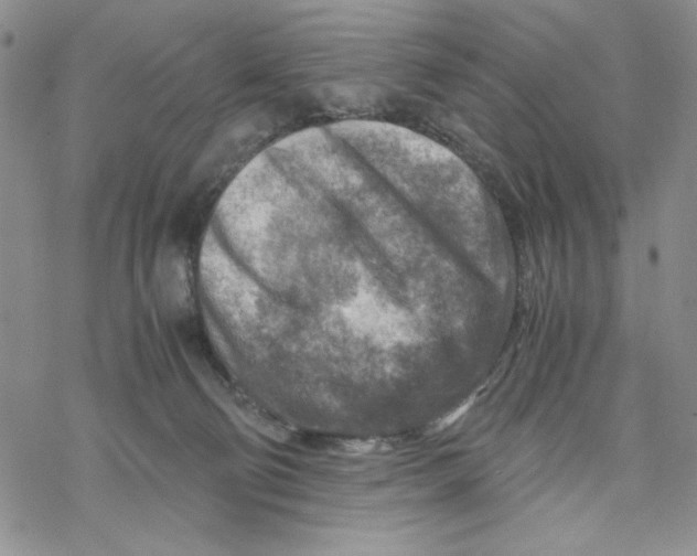 X0000069410130200606021731