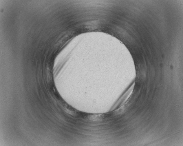 X0000069410136200606021731