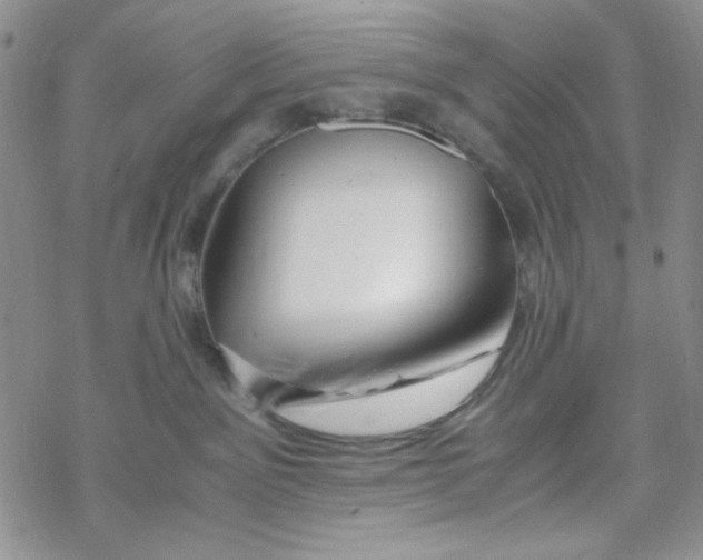 X0000069410141200606021731