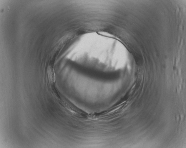 X0000069410143200606021731