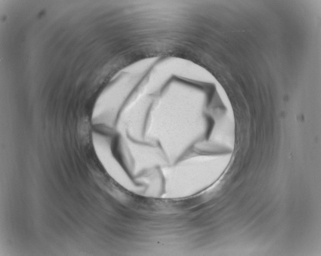 X0000069410144200606021731