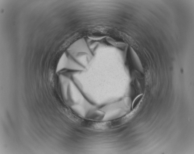 X0000069410178200606021731
