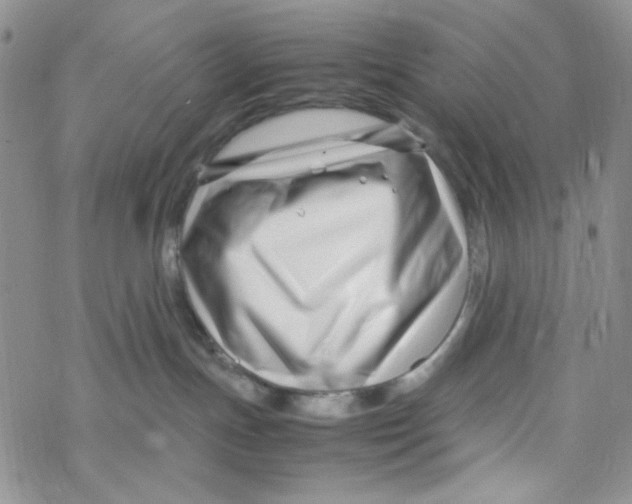 X0000069410191200606021731