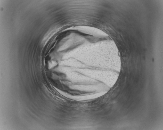 X0000069410194200606021730
