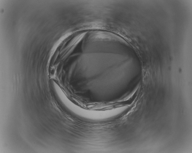 X0000069410200200606021730