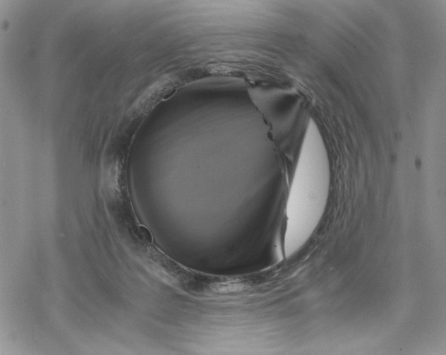 X0000069410219200606021730