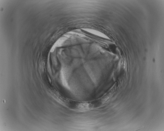 X0000069410227200606021729