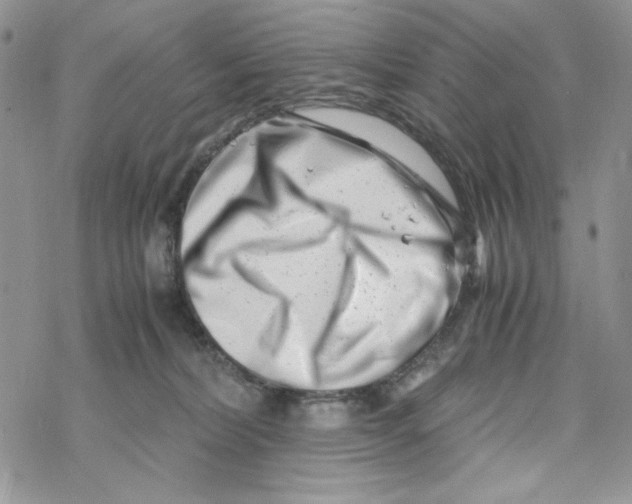 X0000069410228200606021729