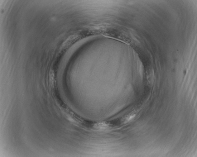 X0000069410231200606021729