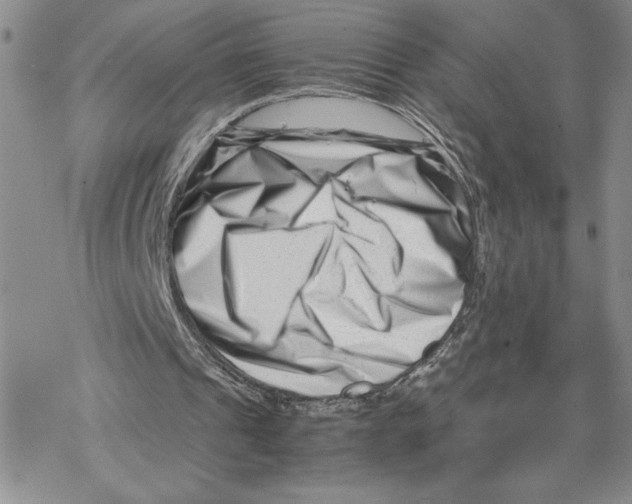 X0000069410241200606021729