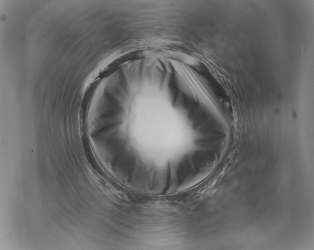 X0000069410244200606021729
