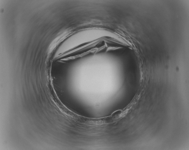 X0000069410245200606021729