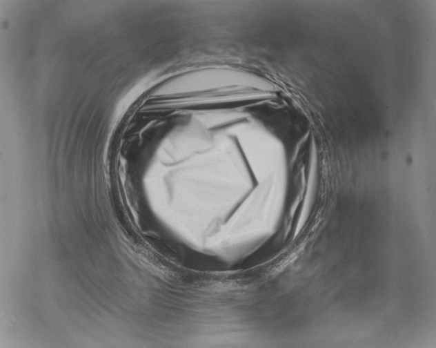 X0000069410246200606021729