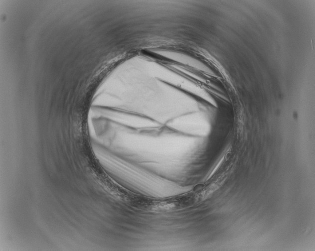 X0000069410257200606021729
