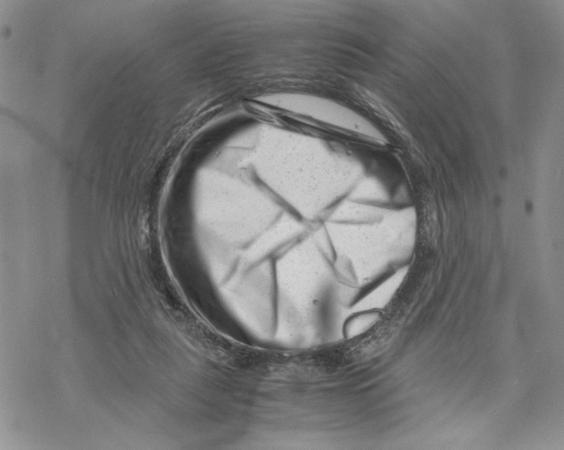 X0000069410259200606021729