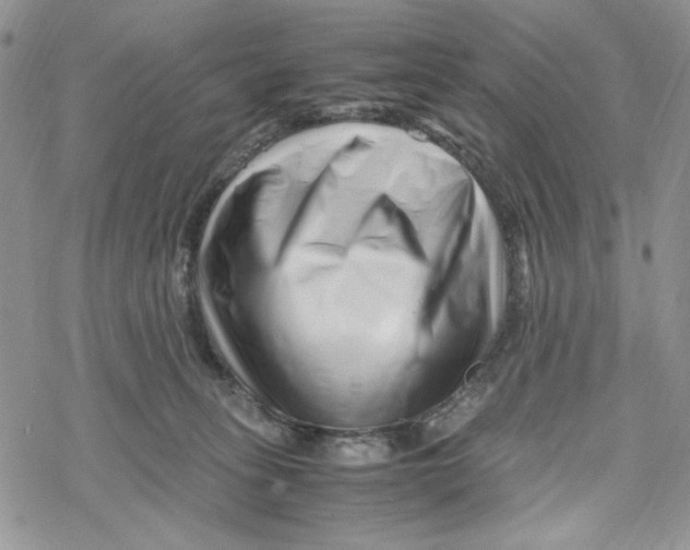 X0000069410275200606021729