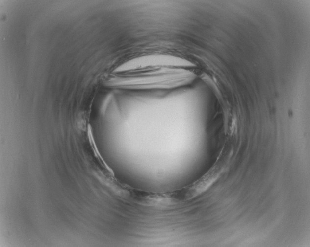X0000069410284200606021729