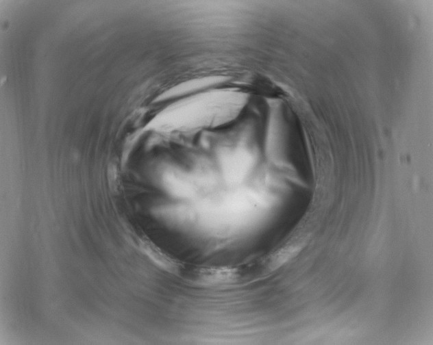 X0000069410288200606021729