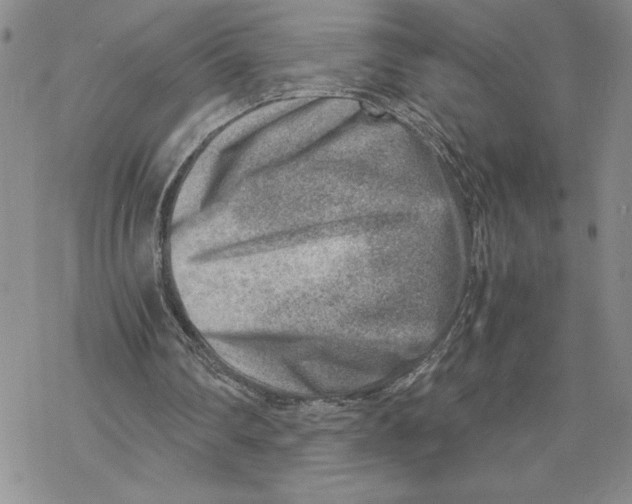 X0000069410290200606021728