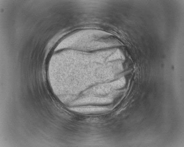 X0000069410294200606021728